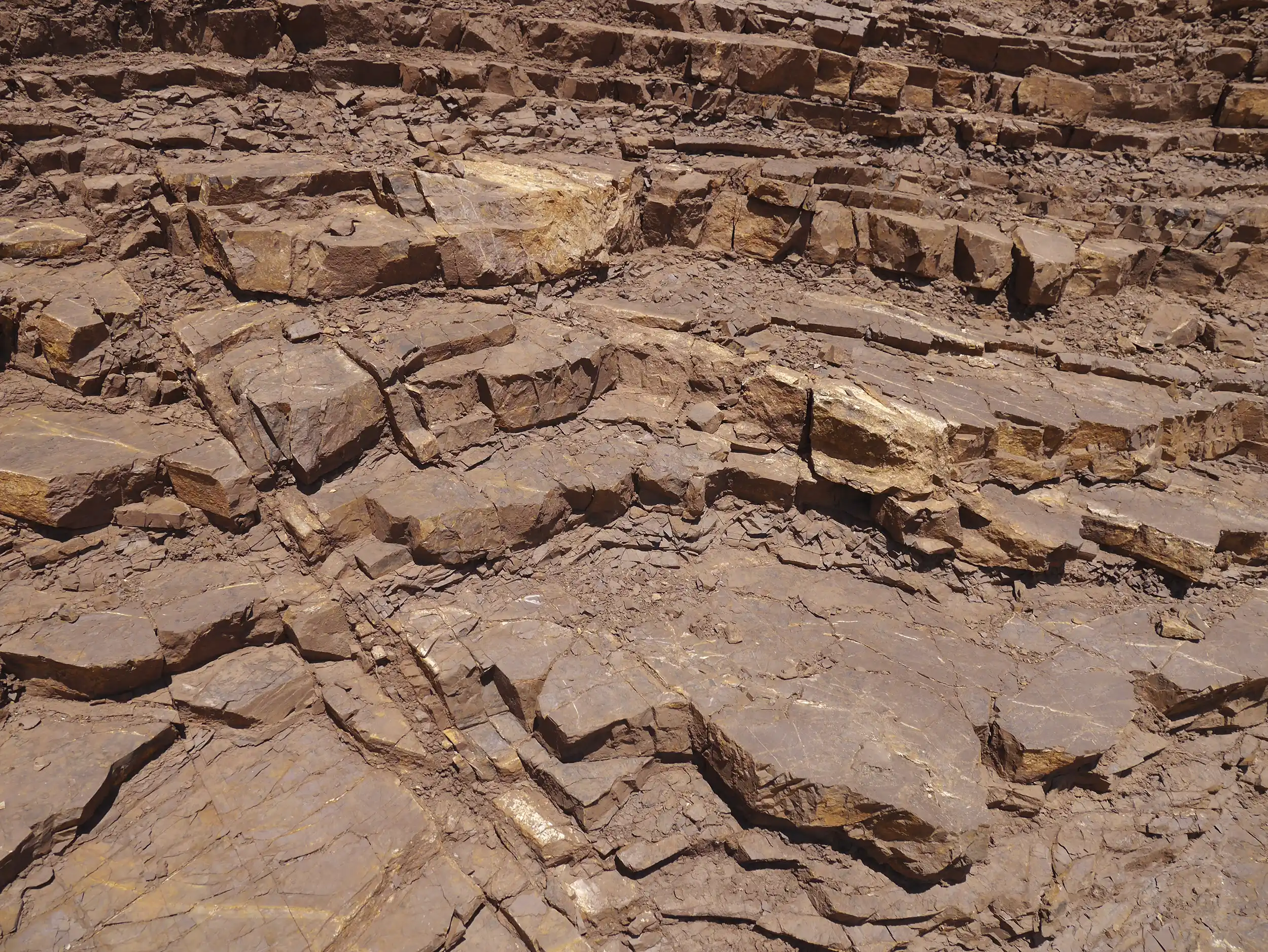 Modern Sausalito Yurt - Materials