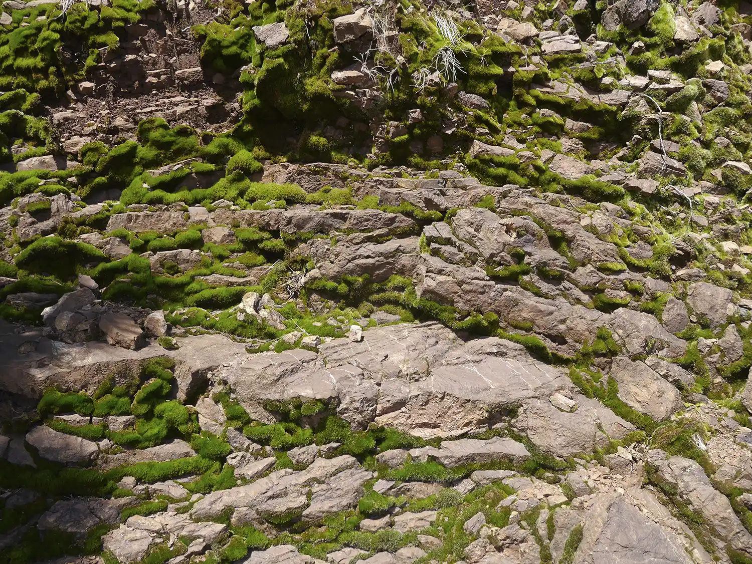Modern Sausalito Yurt - Materials